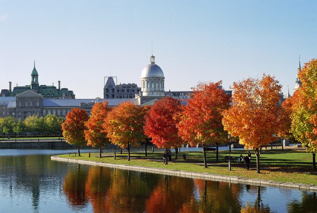 Marché_Bonsecours_and_Foliage
